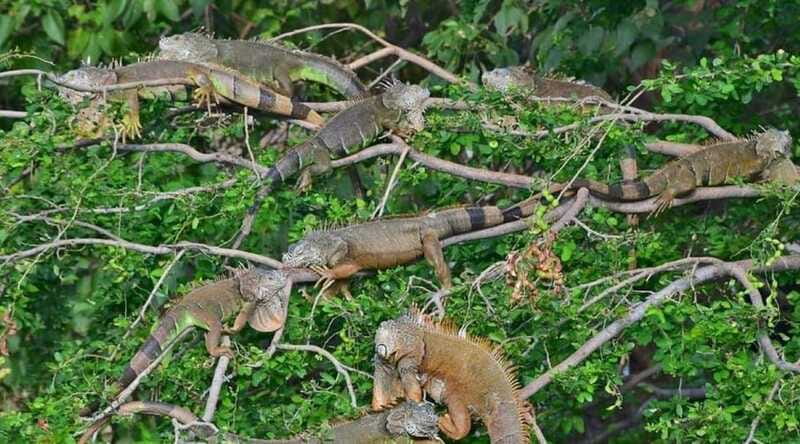 Huatulco:Ventanilla, Zipolite,Mazunte, and Puerto Angel Tour - Considerations and Limitations