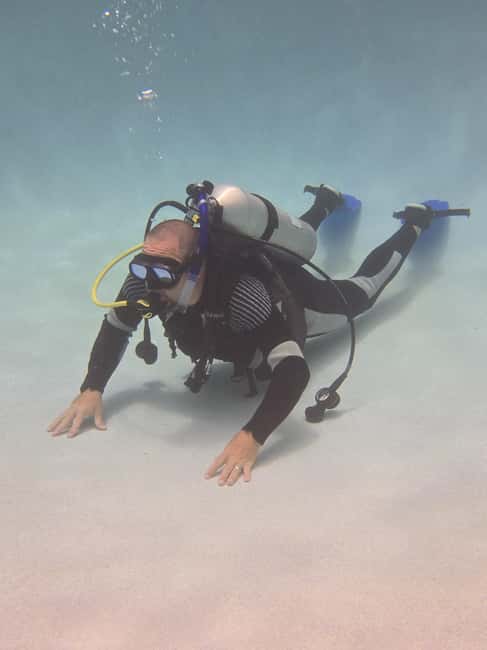 HUDSON, FL: PADI Discover Scuba Diving Experience - Discover the Pool-Only Nature of the Experience in Hudson, FL