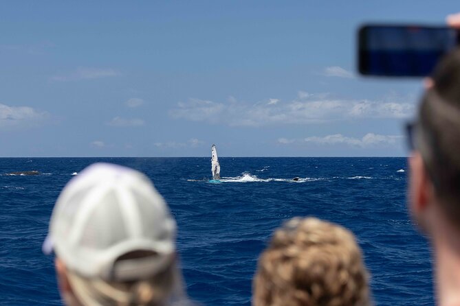 Humpback Whale Watch Tour - Timing and Pacing of the Tour