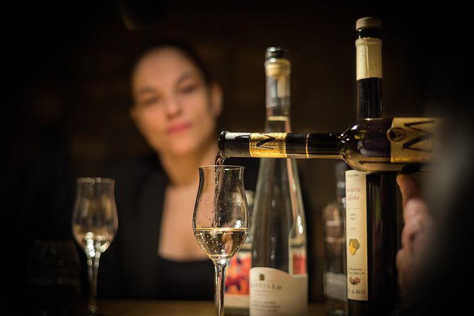 Hungarian Gastro Cellar: Assisted Tasting Options - Exploring the Hungarian Gastro Cellar in Budapest