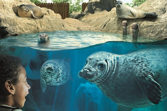 Hunstanton SEA LIFE Sanctuary General Admission Ticket - Comparing Value and Visitor Feedback