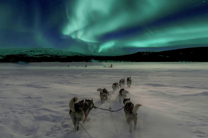 Hunting Northern Lights with Husky - Key Points