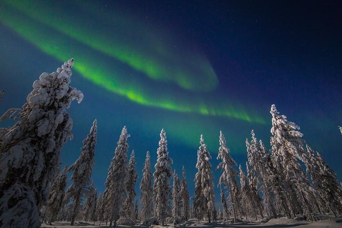 Hunting Northern Lights with Husky - Scenic Transfers to Forest and Lakeside Viewing Spots