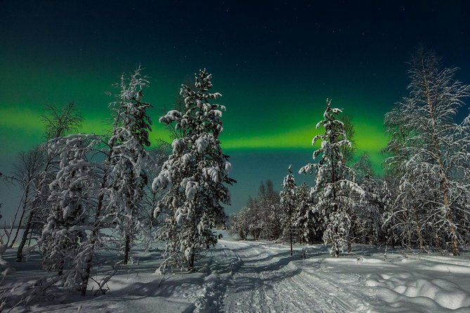 Hunting Northern Lights with Husky - The Role of Experienced Guides and Mushers