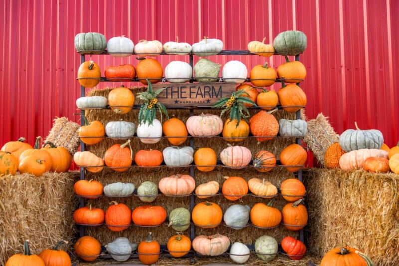 Hurricane, Utah: Guided Farm Tour with Animal Feeding - Key Points