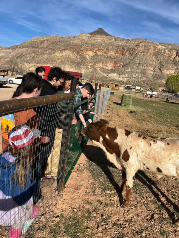 Hurricane, Utah: Guided Farm Tour with Animal Feeding - Meeting Point and Arrival Details at The Farm