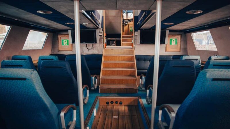 Húsavík: Whale Watching  Family Run with Indoor Seats - Final Thoughts on the Húsavík Whale Watching Tour