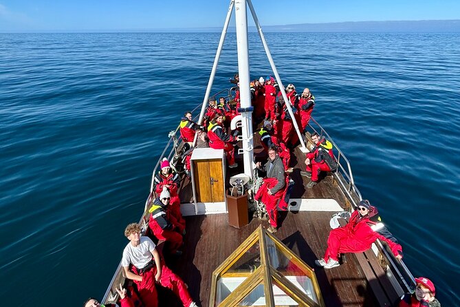 Húsavík Whale Watching Tour, family owned and operated - The Moby Dick Boat and Wildlife Observation Comfort