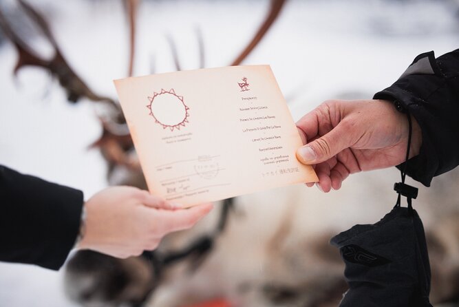 Husky and Reindeer Experience With Snowmobiling - Key Points