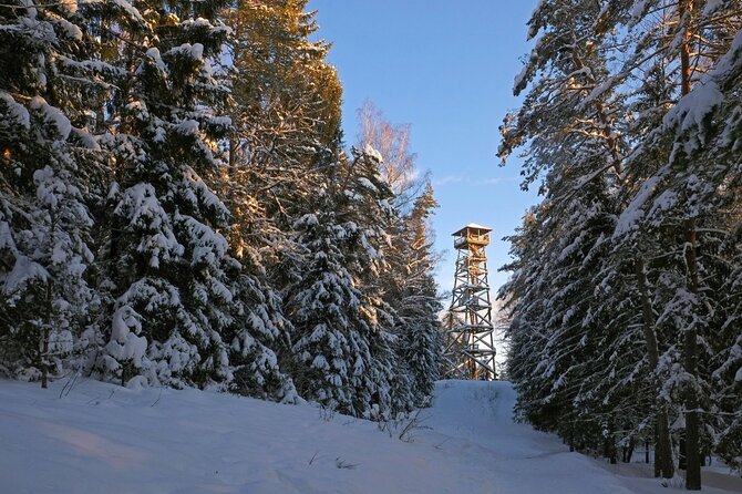 Husky Dog Sledding Tour From Riga - Forest Trails at Blue Hill or Great Kangari Nature Reserve