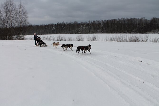 Husky Dog Sledding Tour From Riga - Practical Details and Booking Considerations