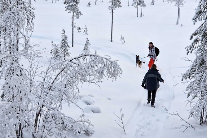 Husky Hike, Snowshoe hike with huskies - Husky Hike, Snowshoe hike with huskies: A Unique Winter Adventure in Swedish Lapland