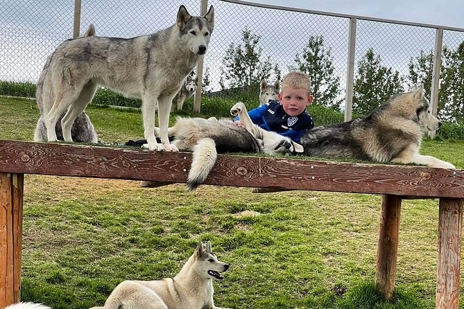 Husky Petting in Akureyri (private) - Pricing and Booking Considerations