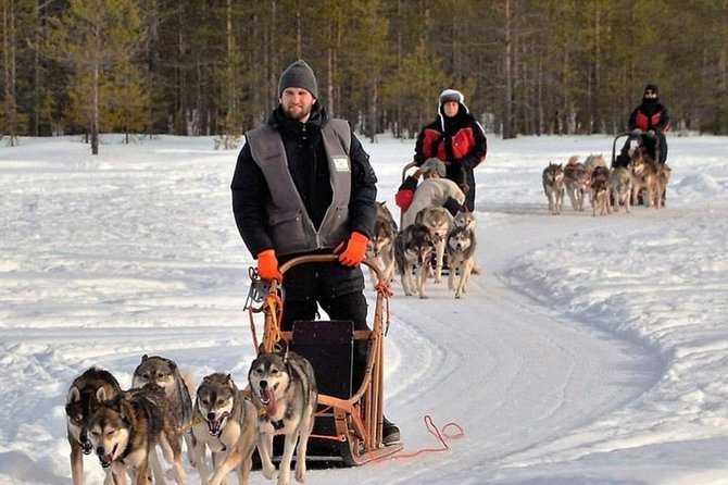 Husky Safari from Levi 2 KM or 5 KM with Husky Sledge Ride - Who Will Love This Tour
