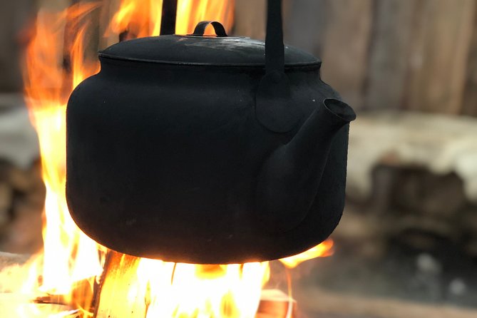 Husky Tour Sit and Drive Combo Tour from Kiruna - Helping Out at the Kennel After the Ride