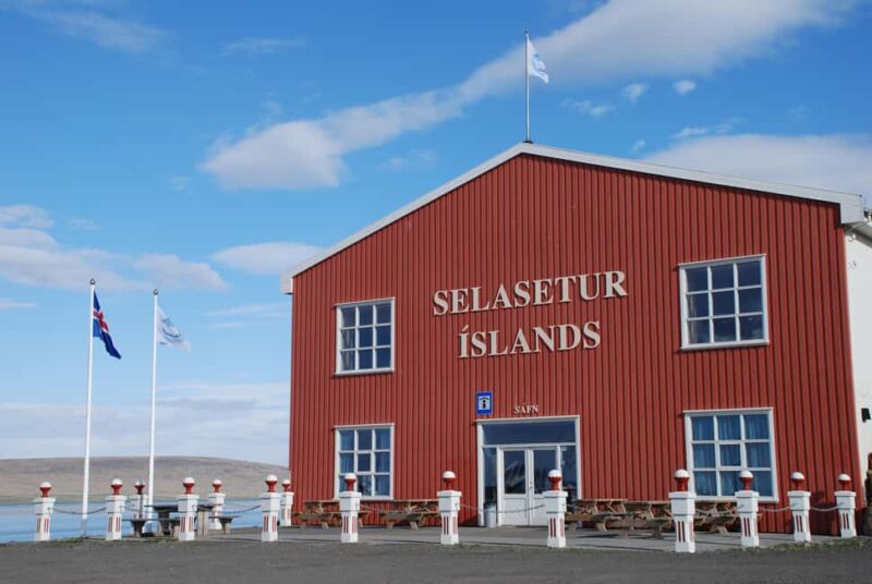 Hvammstangi: Icelandic Seal Center Museum Entry Ticket - Discover the Icelandic Seal Center in Hvammstangi