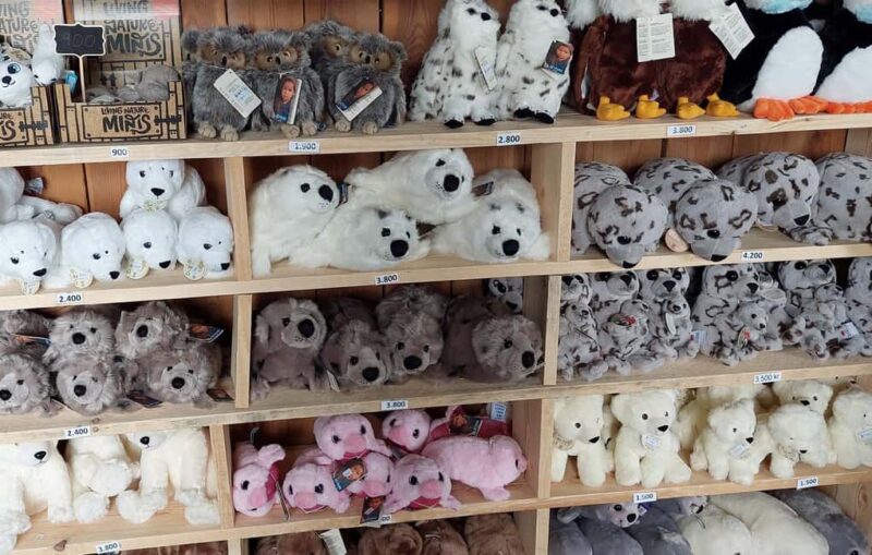 Hvammstangi: Icelandic Seal Center Museum Entry Ticket - Key Points