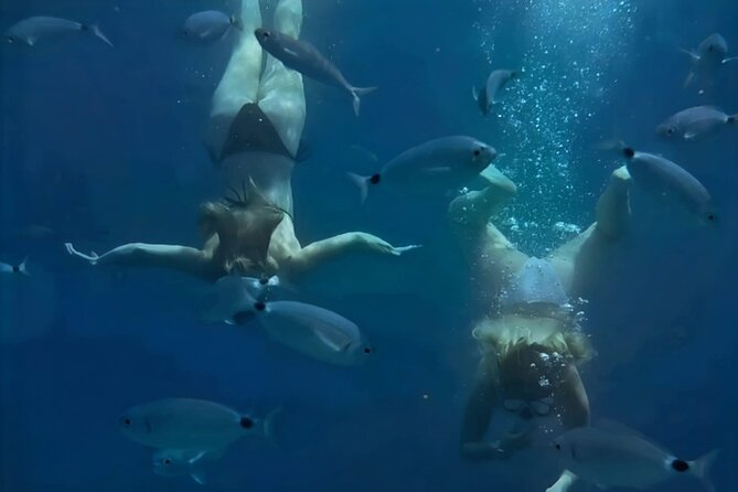 Hvar (Hidden Bays) & Brac (Golden Horn) PRIVATE full day tour - The Allure of Mala Stiniva for Cliff Jumpers and Swimmers