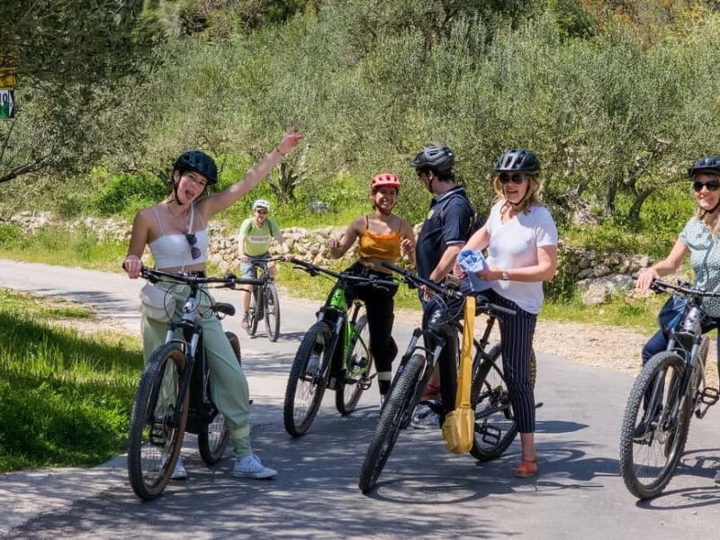 Hvar Island Self-Guided E-Bike Tour - Relaxing by the Sea at Milna and Pokonji Dol