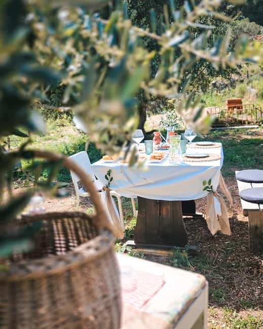 Hvar Island: Slow Food Feast in an Olive Grove by the Sea - Key Points
