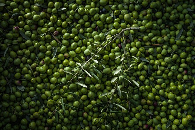 Hvar: Island tour with Wine and Olive Oil Tasting - Expert Guides and Personalized Service