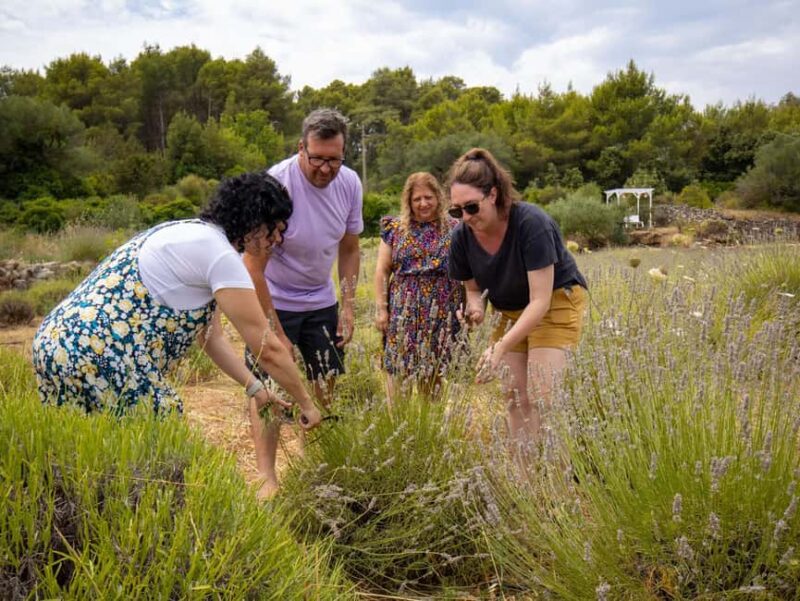Hvar: Lavender Fields, Honey, and Local Product Tasting - Explore Hvar’s Lavender Fields, Honey, and Local Flavors for $600