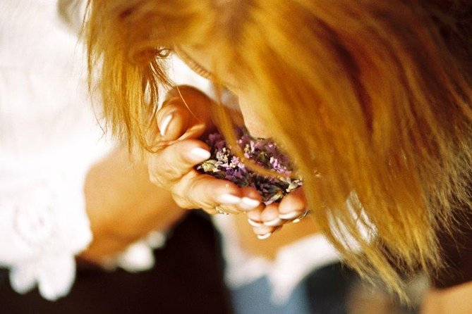 Hvar Lavender Small Group Tour - Value and Booking Considerations