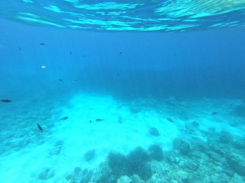 Hvar: Private Sailing Boat Trip with Swimming and Snorkeling - Flexibility with Tour Duration and Stops