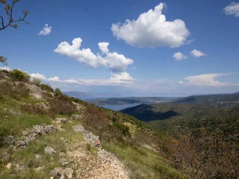 Hvar: Wine Tasting Tour and Island Sightseeing - Timing, Pacing, and Suitability