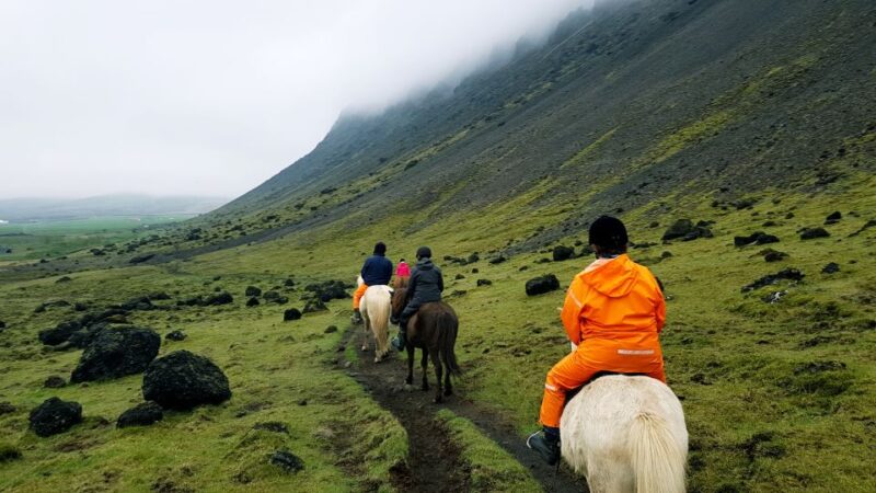 Hveragerdi: Reykjadalur (Hotspring Valley) Horse Riding Tour - Riding in Small Groups in Reykjadalur Valley