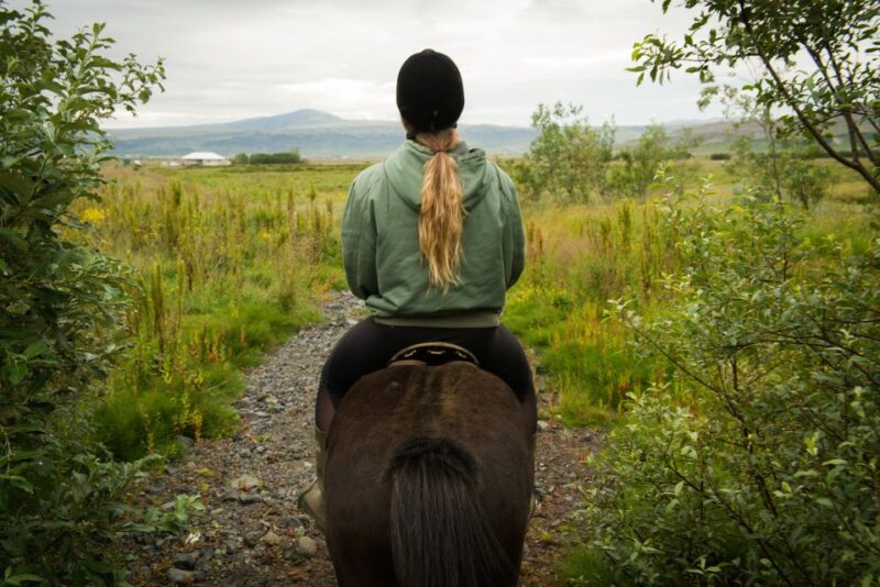 Hveragerdi: Reykjadalur (Hotspring Valley) Horse Riding Tour - The Icelandic Horse: Friendly, Surefooted, and Unique