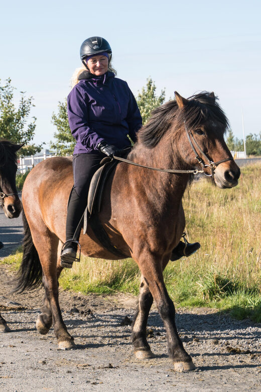 Hveragerdi: The Siggi Horse Riding Tour - The Unique Gait of the Icelandic Horse: The Tölt