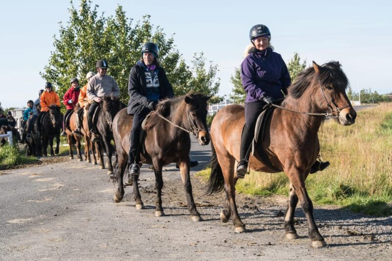 Hveragerdi: The Siggi Horse Riding Tour - Practical Details: Gear, Safety, and Accessibility