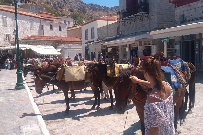Hydra Island Day Tour with your Private Guide in the Most Cosmopolitan Island - Authentic Hydra Landmarks and Photo Opportunities