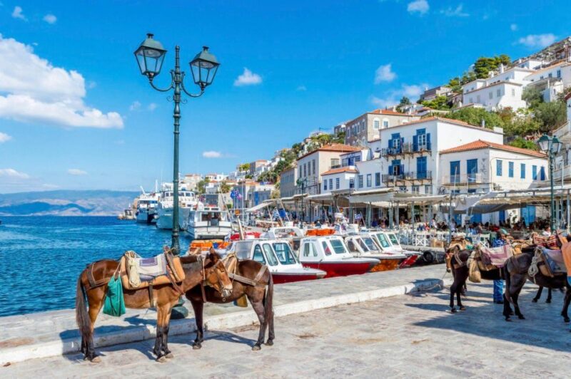 Hydra & Poros: 2 islands private day tour from Athens - Who Will Appreciate This Tour Most