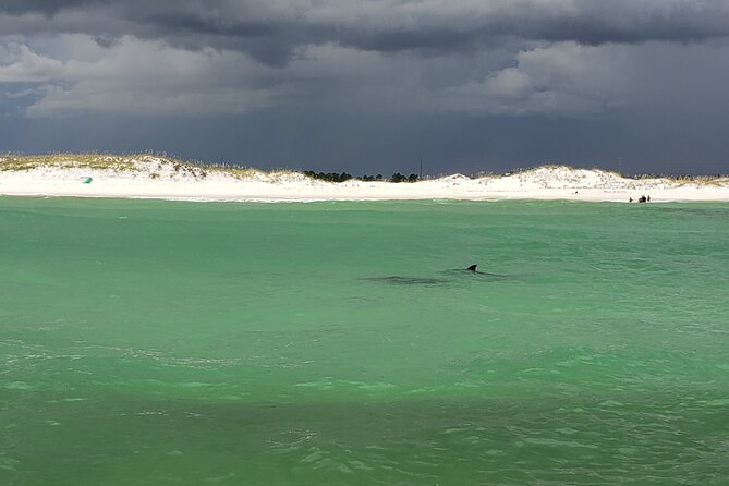 Hydro Rocket Dolphin Sightseeing Boat Tour from Destin - Discover the Hydro Rocket Dolphin Sightseeing Boat Tour in Destin