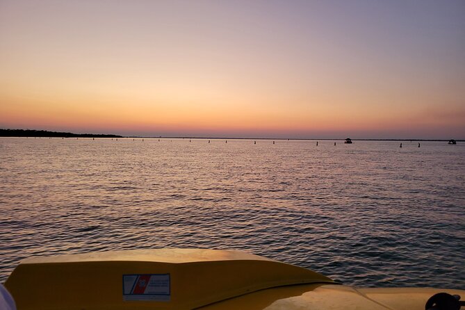 Hydro Rocket Dolphin Sightseeing Boat Tour from Destin - Key Points