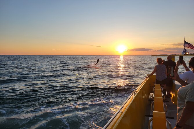 Hydro Rocket Dolphin Sightseeing Boat Tour from Destin - Practical Tips for a Smooth Experience