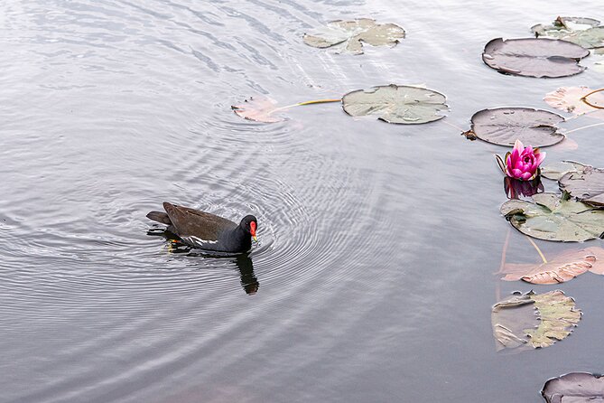 I LOV IT - Tivoli Park Tour - Logistics: Meeting Point and Group Size