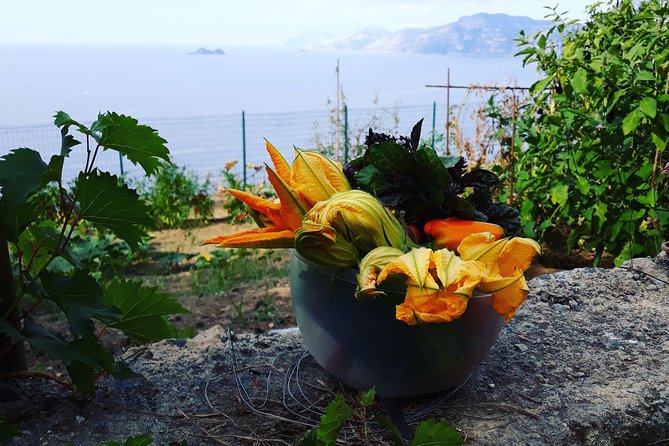 I offer cooking lesson of Amalfi tradition - Flexible Cancellation and Booking Details