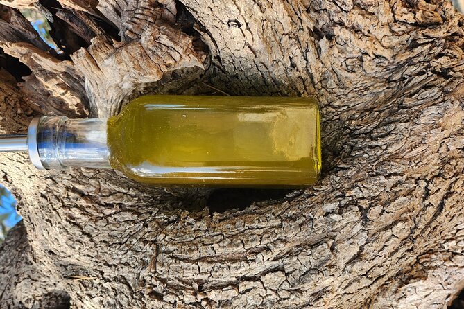 I wil explain you everything about our extravirgin olive oil - Who Will Appreciate This Tour Most?