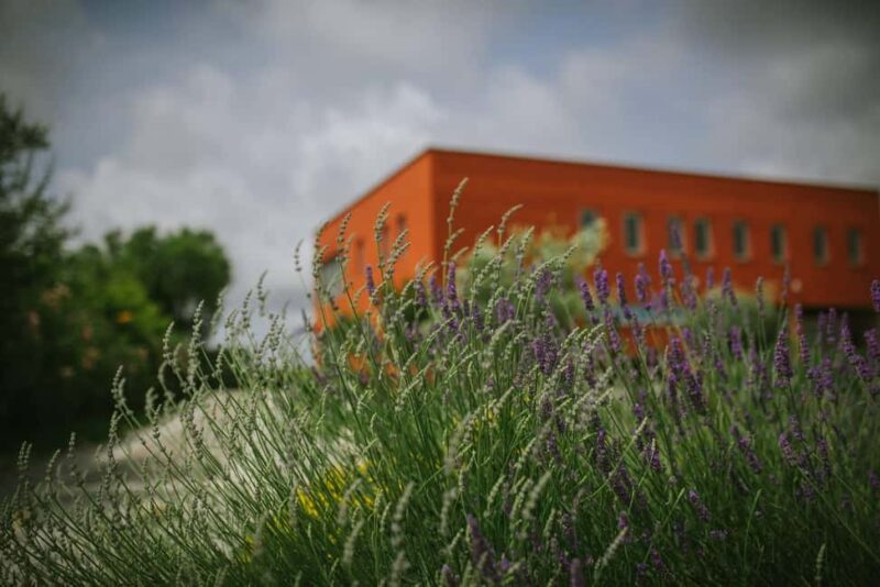 ian: Organic Winery Tour and Tasting Experience - Who Will Appreciate This Tour Most