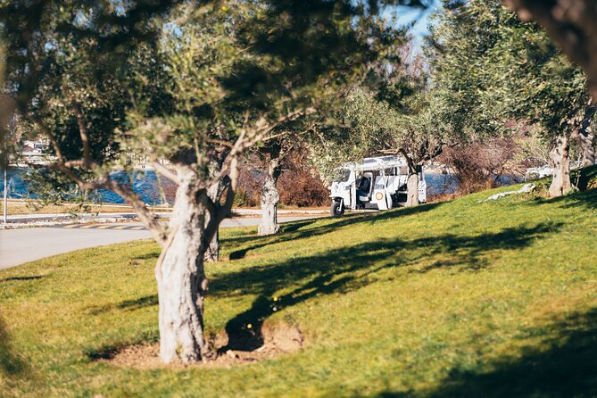 ibenik: 3 fortresses; City&wine tour; tasting and all fees inc - Wine Tasting at Rak Winery: A 30-Minute Cultural Experience