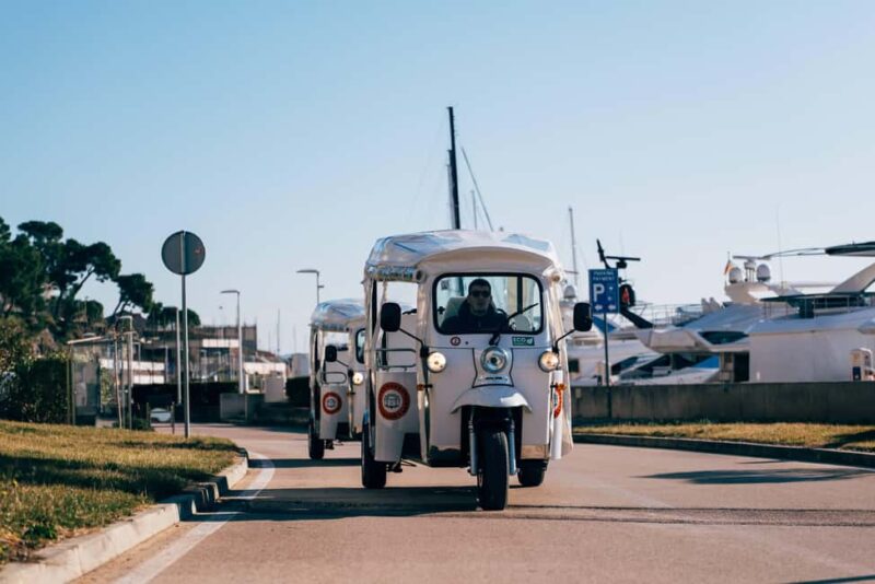 ibenik: 3 hours City&wine tour, tasting and fortresses inc - Overall Value and Suitability