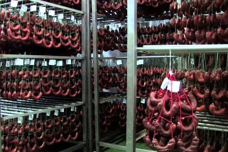 Iberian Ham Route and Tasting in the Sierra de Aracena - Walking Through a Pasture in Sierra de Aracena