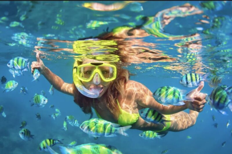 Ibiza: Beach and Cave Snorkeling Tour by Boat - The Lively Atmosphere with Music and Drinks