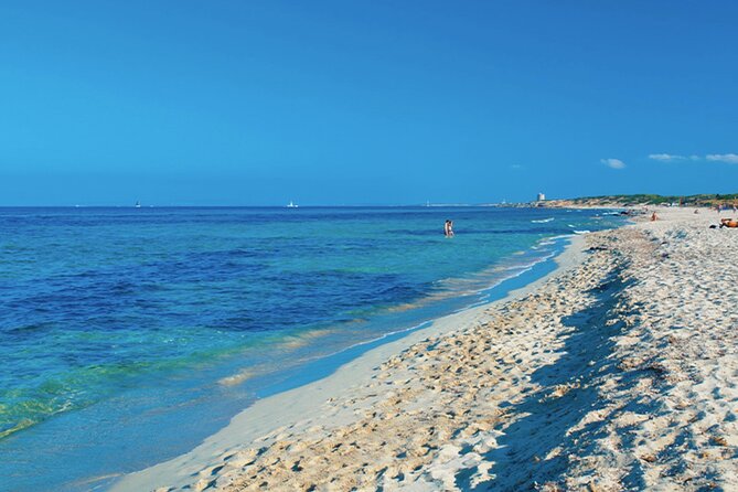 Ibiza Beaches and Villages Private Tour - Discovering Ses Salines Natural Park