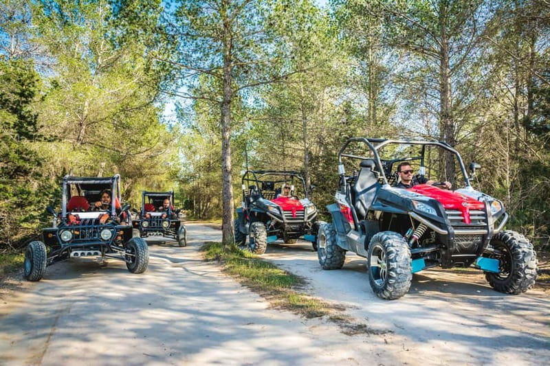 Ibiza: Buggy Excursion to Explore Beaches and Unique Views - The Route and Scenic Highlights