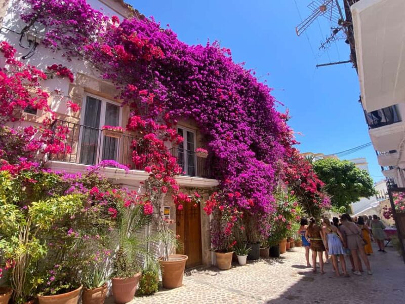 Ibiza: Dalt Vila Walking Tour with Sangría/Sangría Workshop - Key Points