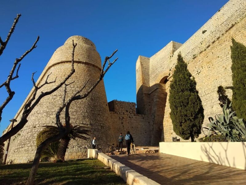 IBIZA HIGHLIGHTS TOUR: From Unesco heritage to best beaches - Who Will Appreciate This Tour Most?